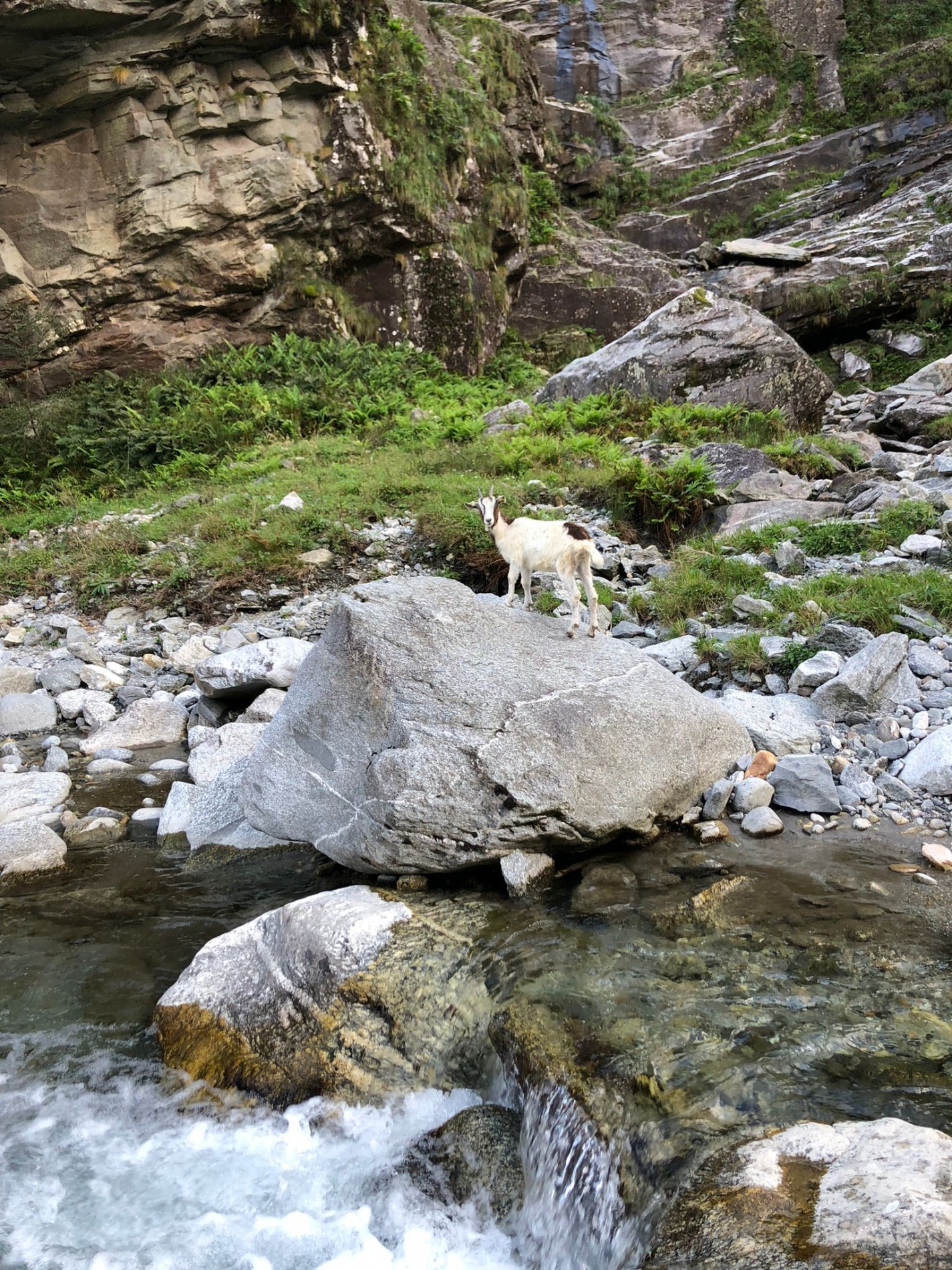 IMG-20210828-WA0016