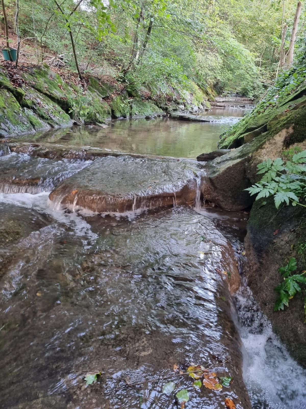 IMG-20230923-WA0039